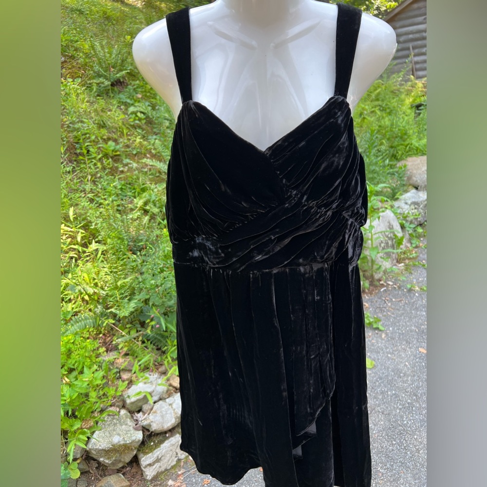 Express Velvet Dress